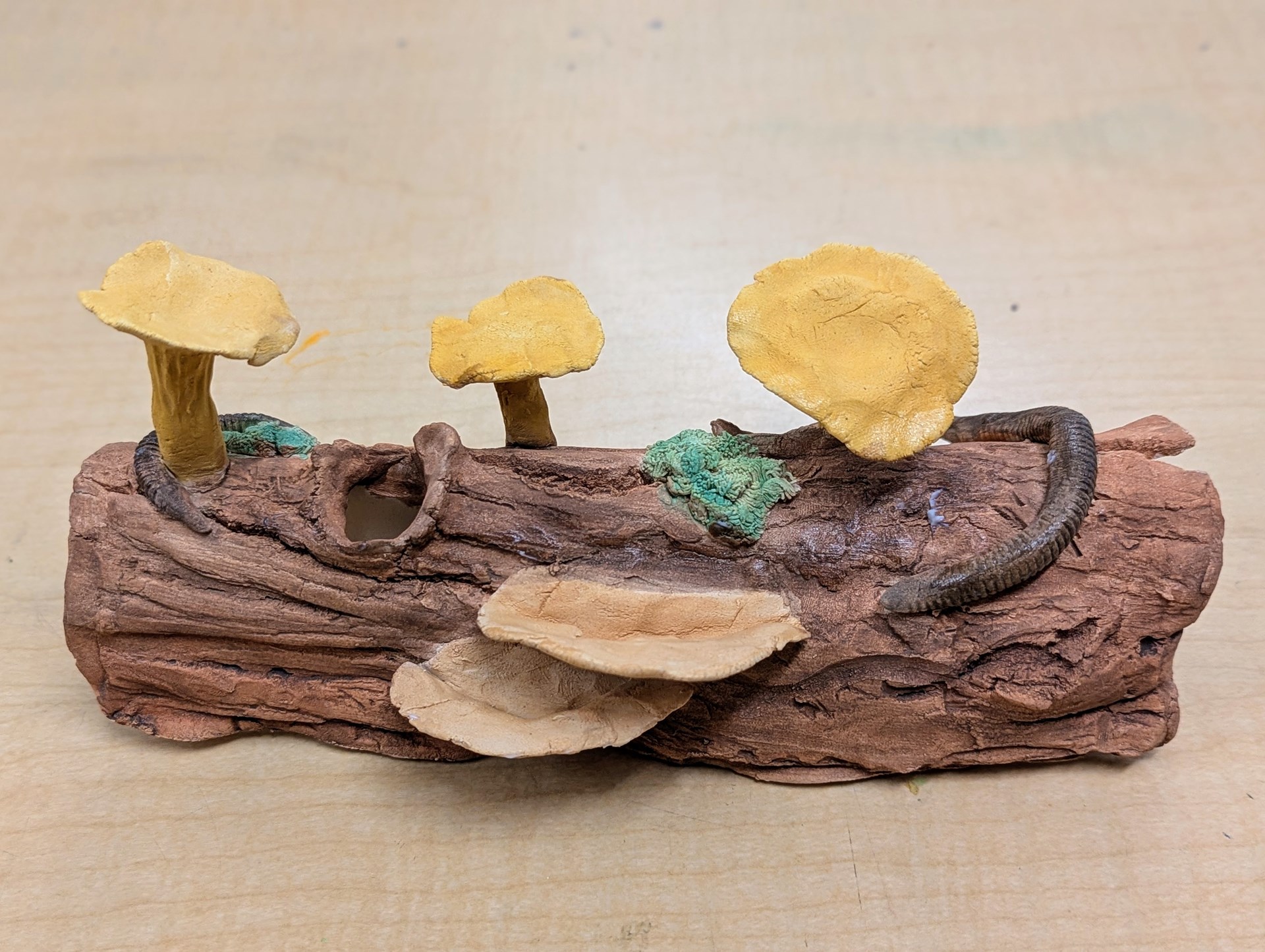 clay log kit