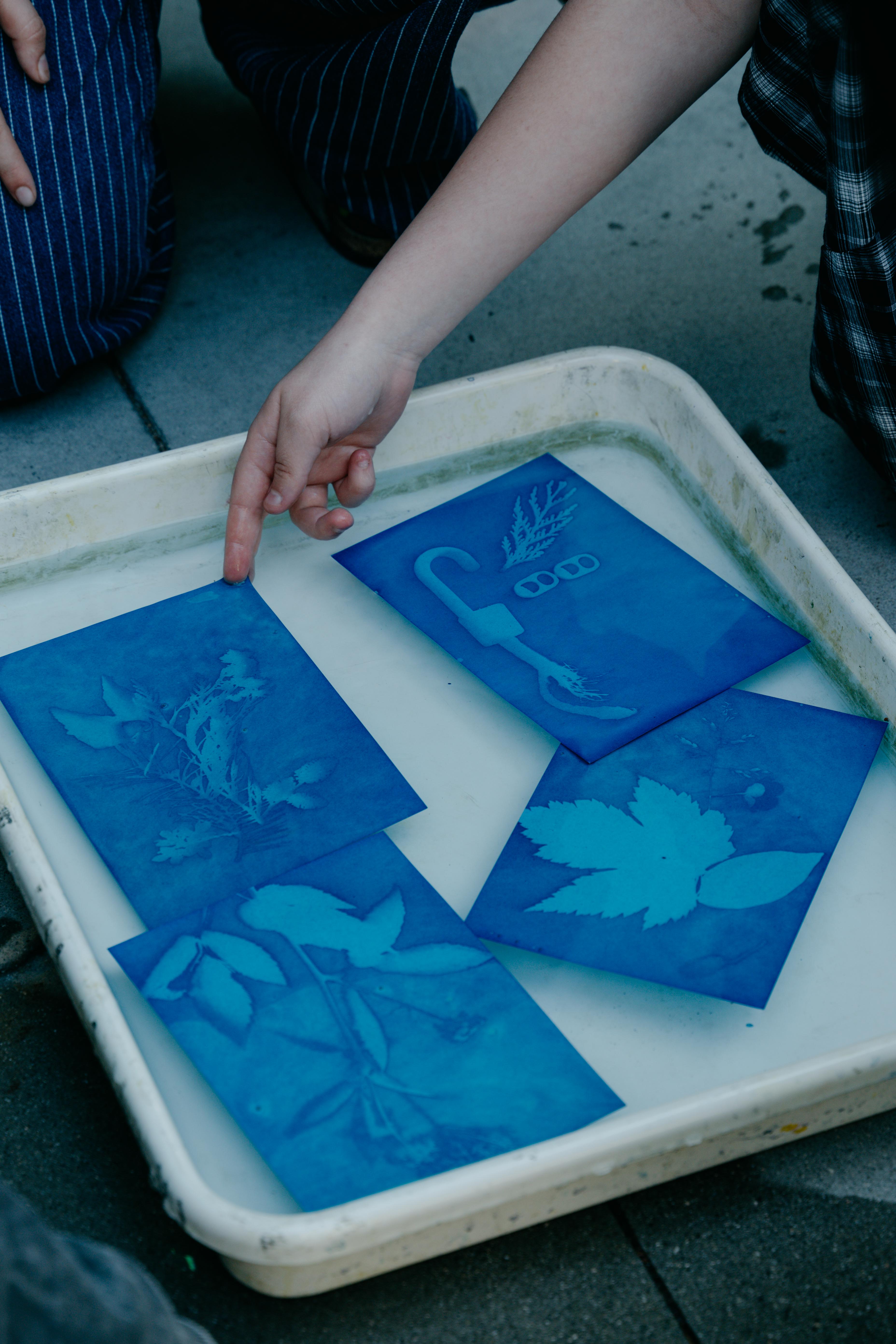 Photo of cyanotypes during artist in residence workshop
